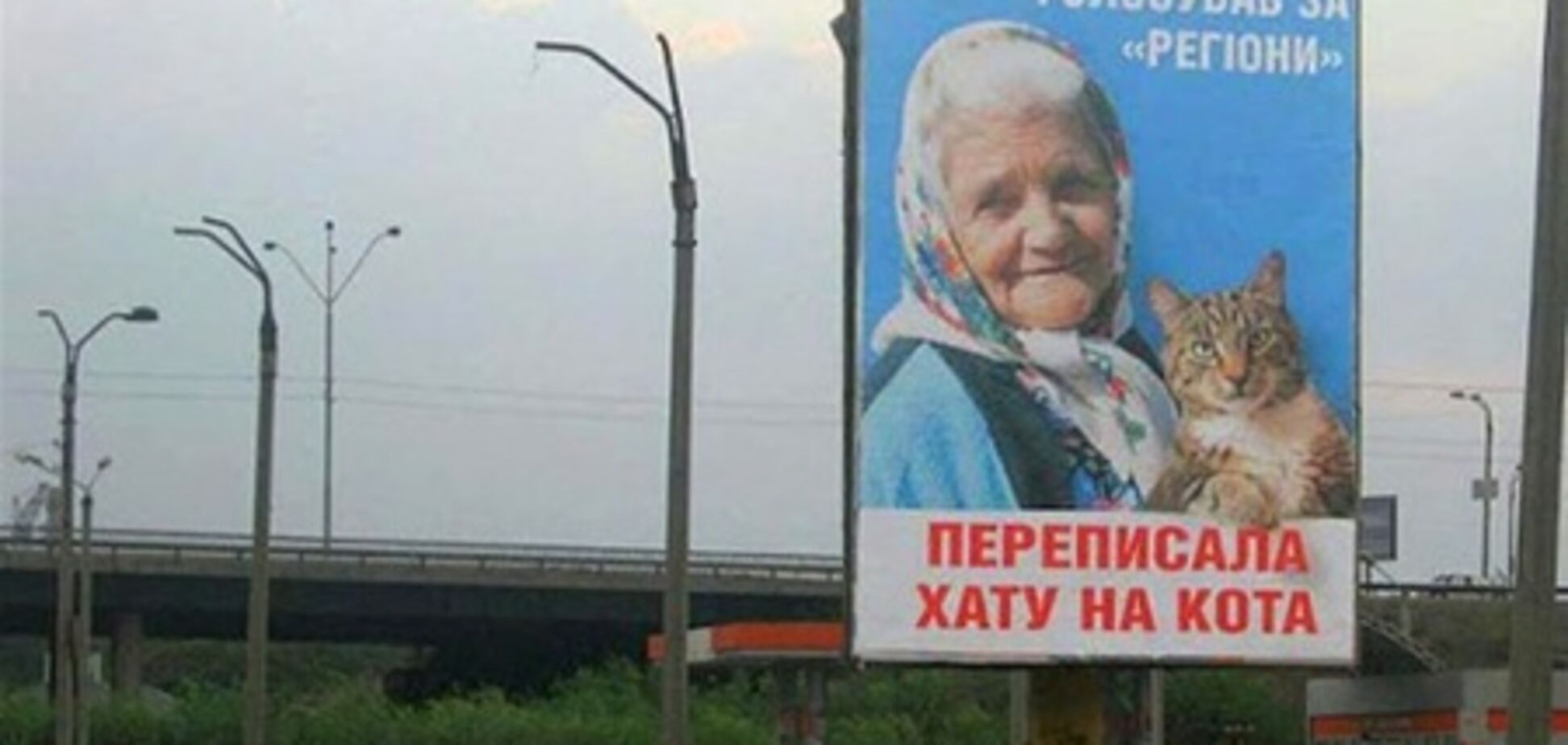 Автору билборда с бабушкой и котом грозит 5 лет тюрьмы
