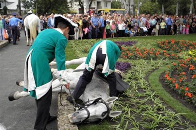 В Одессе на открытии памятника Суворову лошадь упала от голода