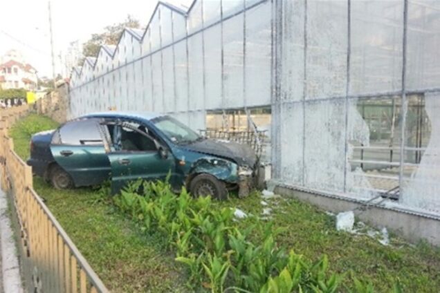 В теплицу столичного ботсада врезался пьяный водитель 