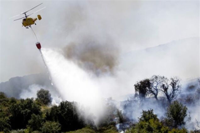 Португалія просить у ЄС допомоги в боротьбі з лісовими пожежами