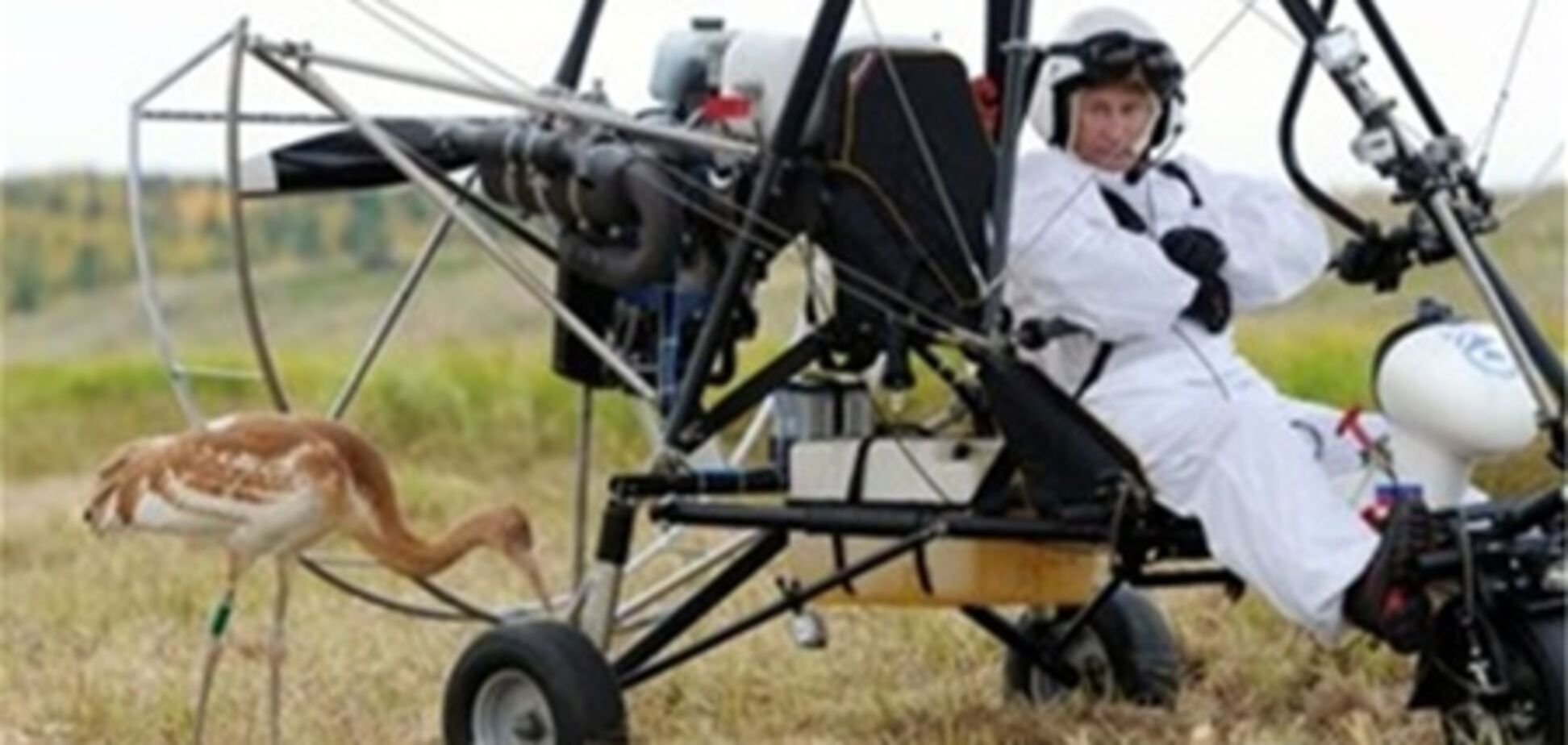 Путін політав з журавлями