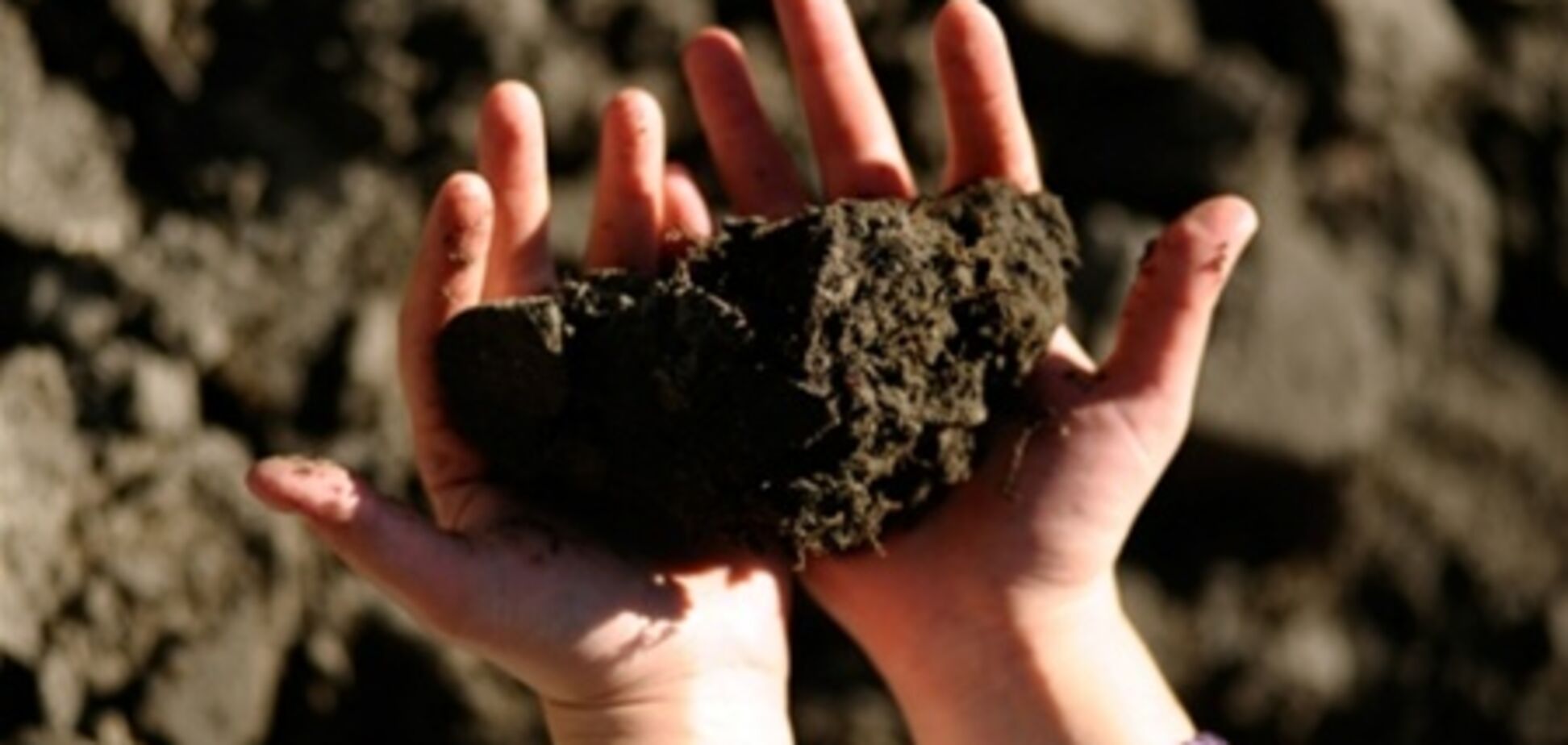 ВР создала в Украине земельный банк