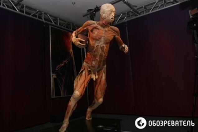 В Киев привезли выставку человеческих тел, печени и легких