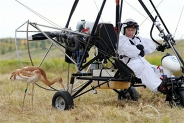 Госдепу США понравился полет Путина с журавлями