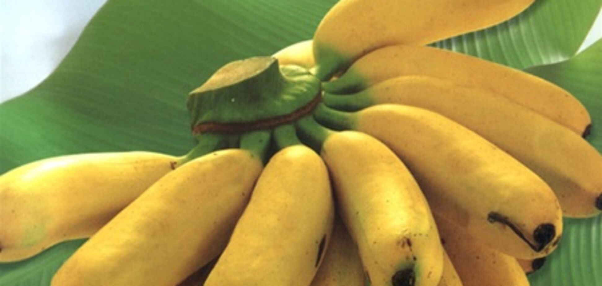 Целебные свойства банана
