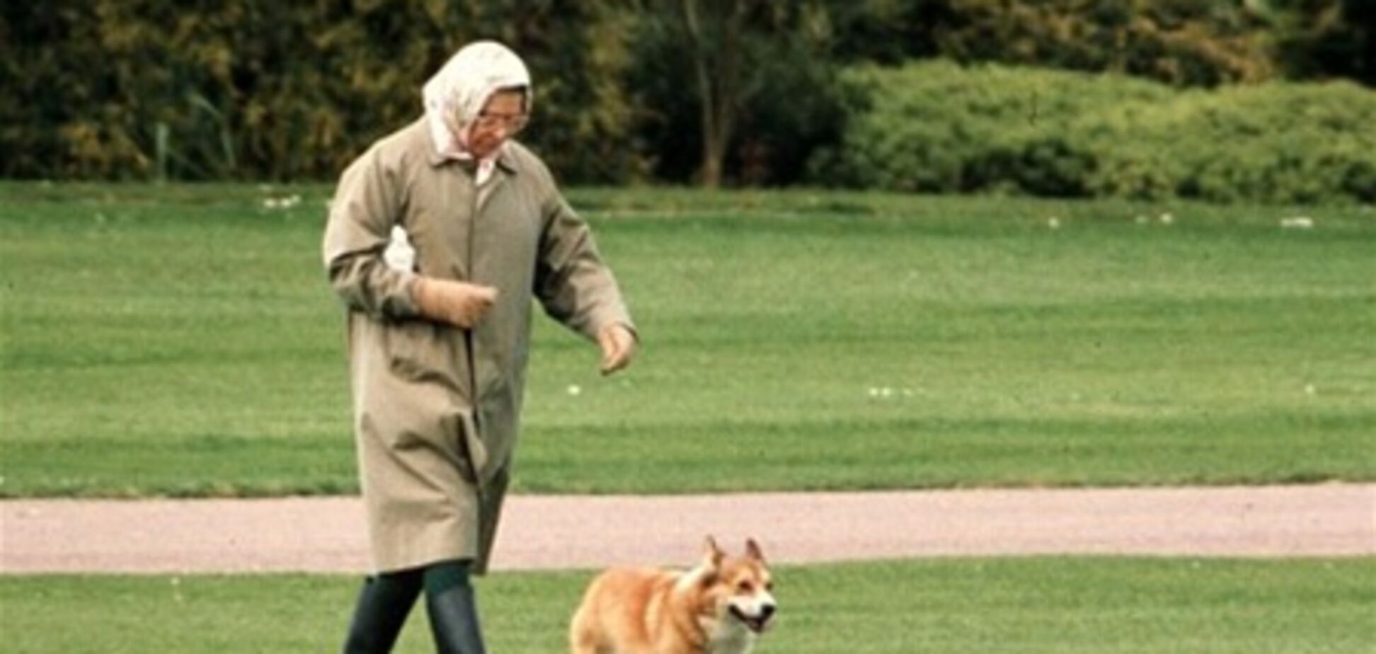 Умерла собака Елизаветы II, снявшаяся в ролике к Олимпиаде