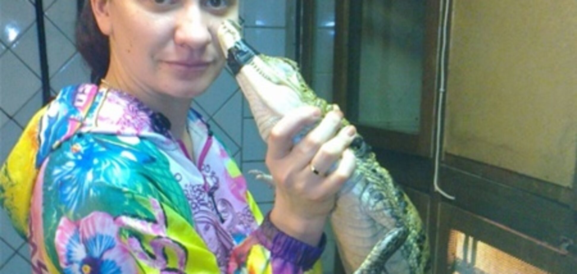 Семейная пара пыталась ввезти в Украину метрового крокодила. Фото