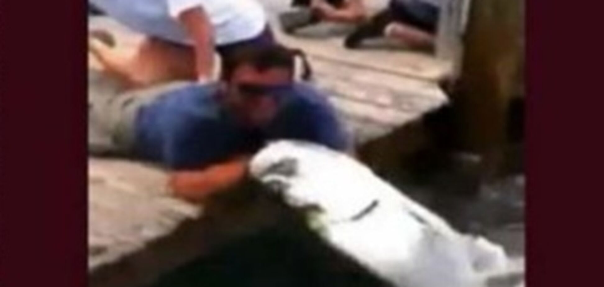 У Таїланді турист відбився від акули голіруч. Відео