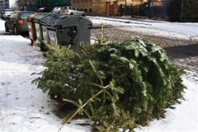 В Киеве выброшенные елки соберут спецмашины