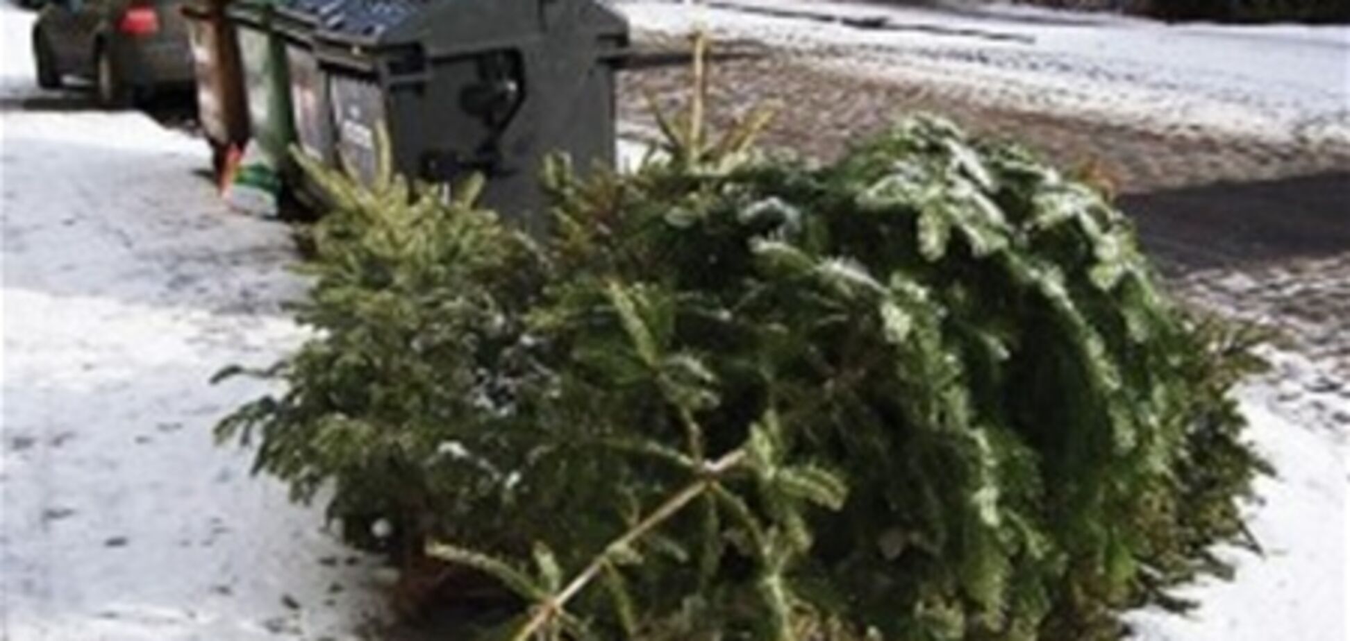 В Киеве выброшенные елки соберут спецмашины