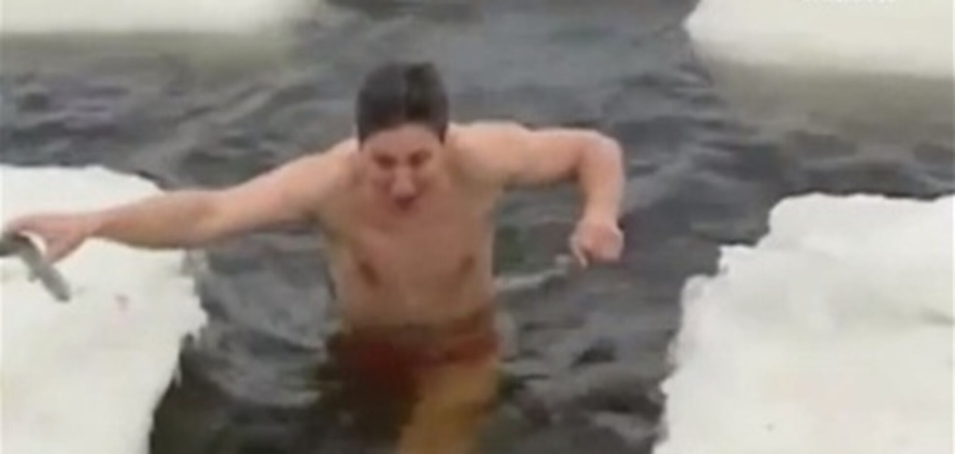 В Киеве пройдет фестиваль моржей