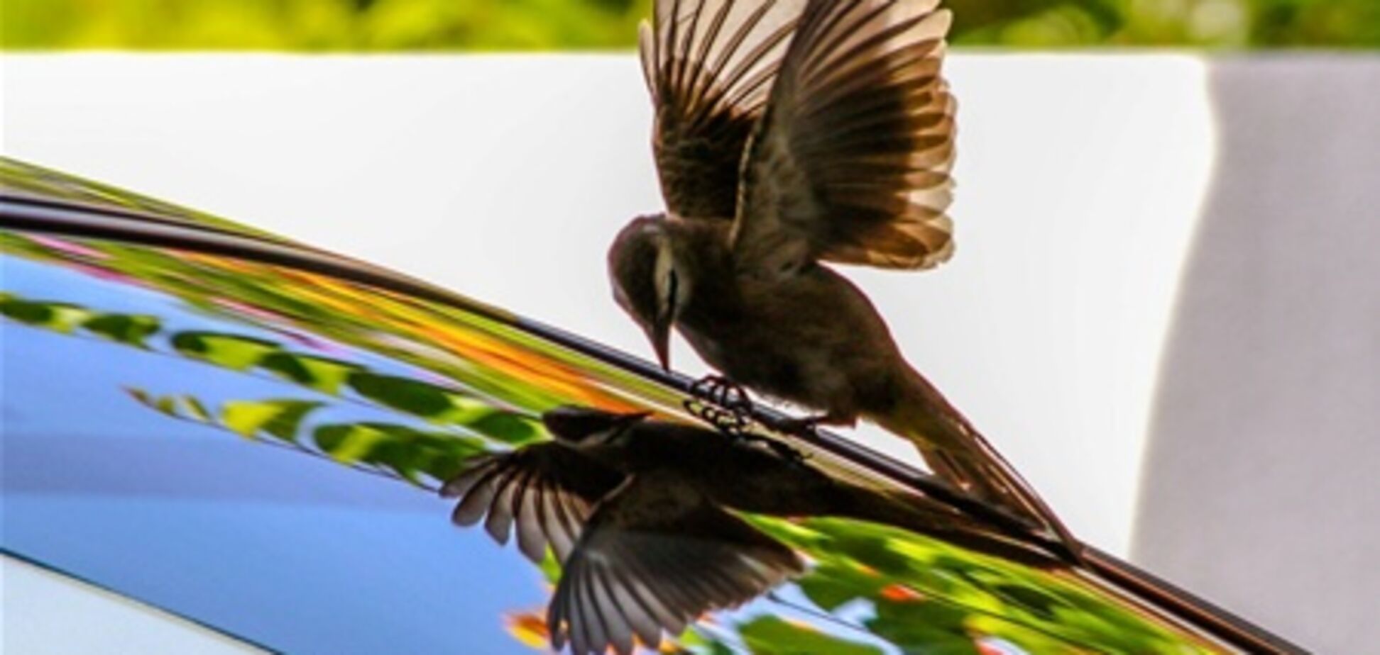 Лучшие фото 2-й недели года от National Geographic