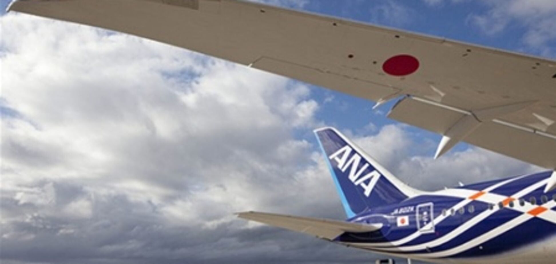 В Японии приостановлены полеты Dreamliner