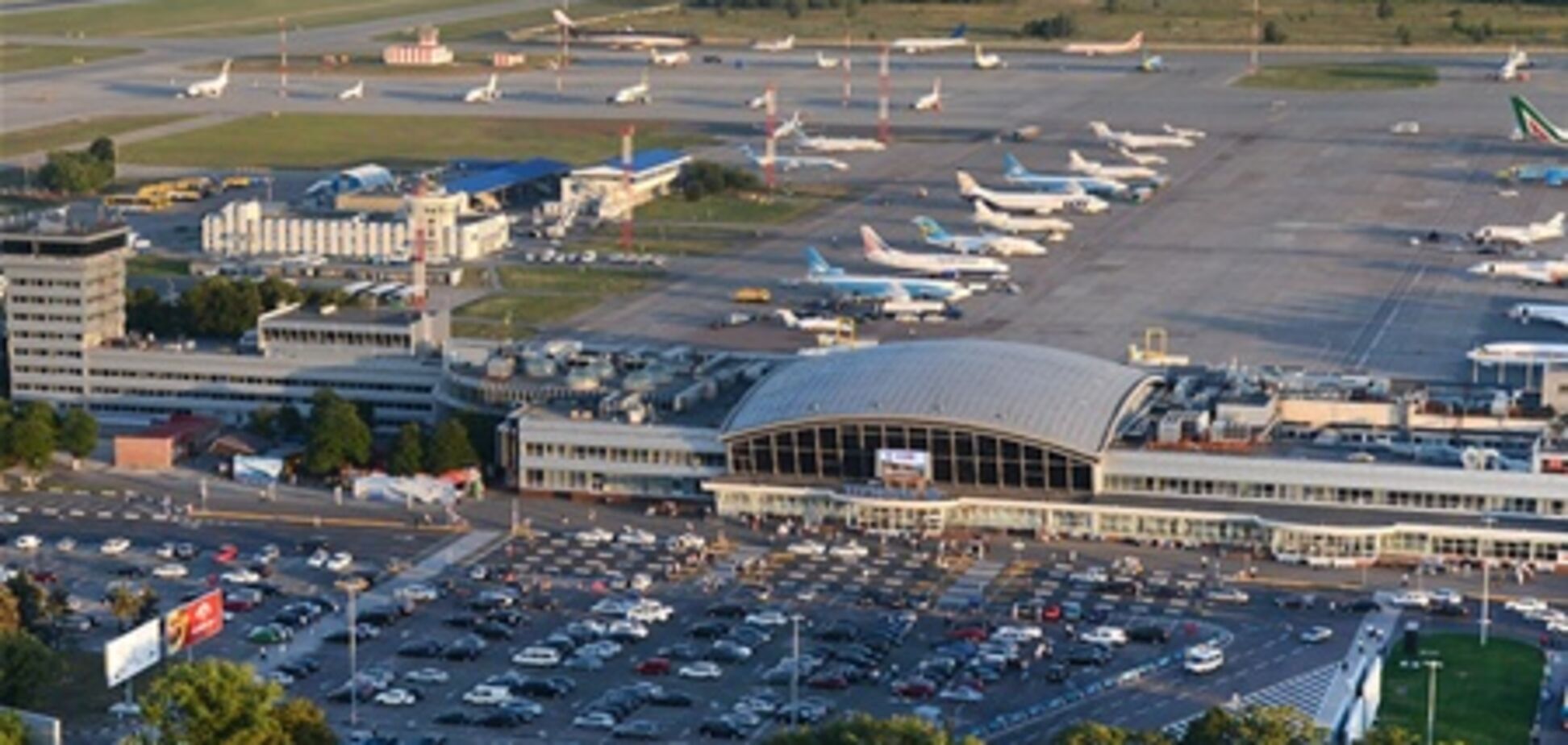 У 'Борисполі' кожен 33-тисячний літак врізається в птахів