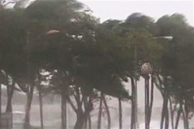 Ураган сорвал тренировку 'Динамо'