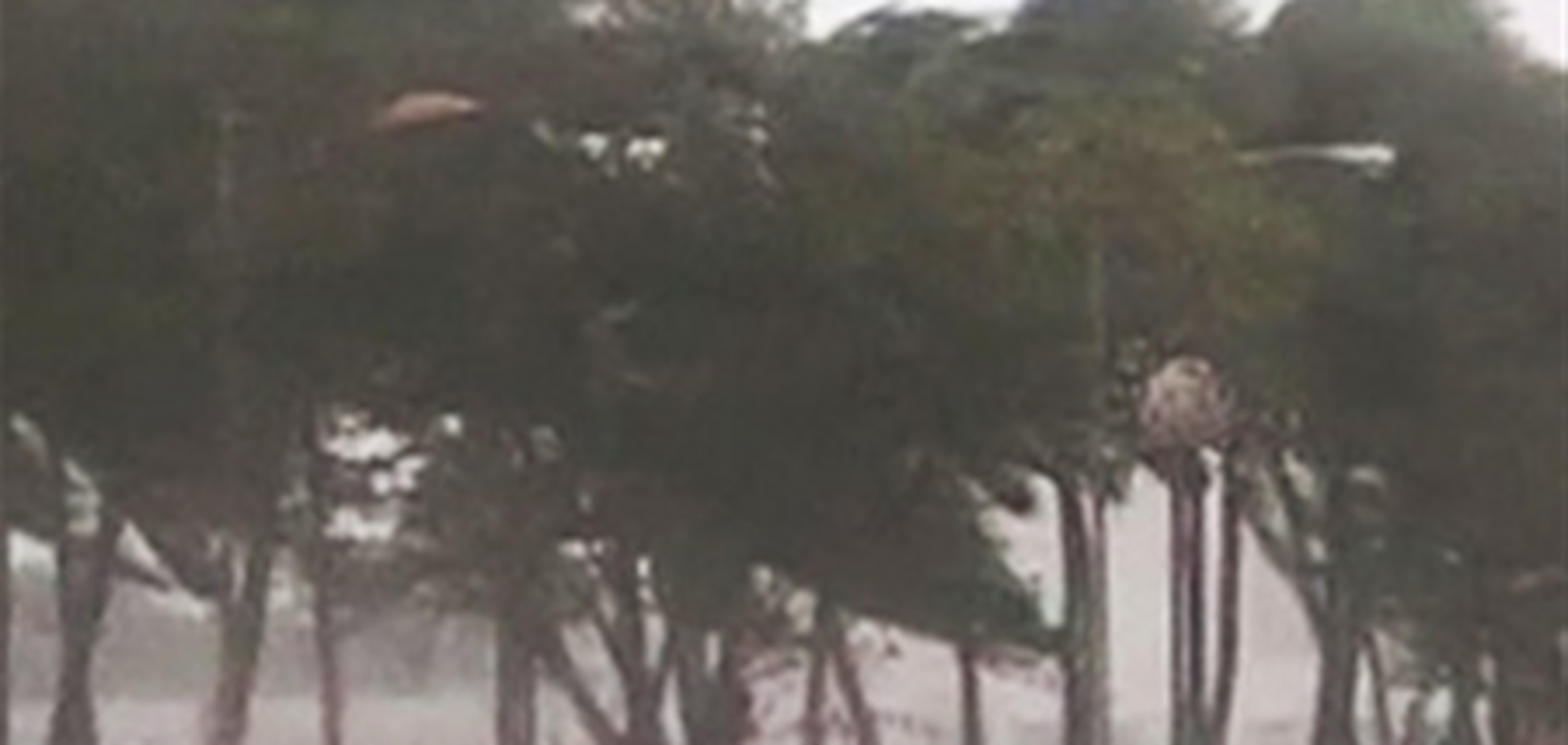 Ураган сорвал тренировку 'Динамо'