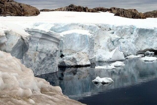 Бутылки виски 100-летней давности будут возвращены в Антарктиду