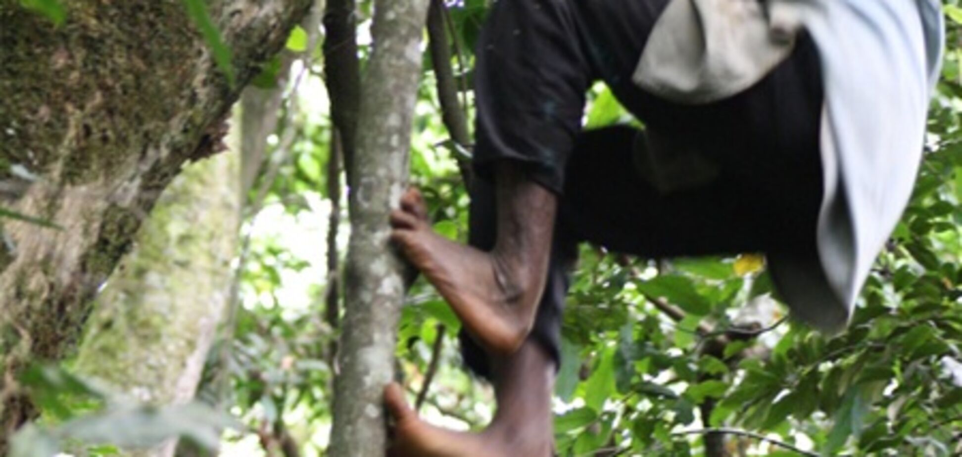 В Африке нашли племя с 'обезьяньими' ногами. Видео