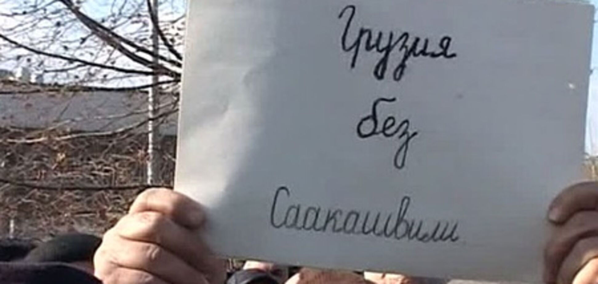 В Тбилиси прошла акция за отставку Саакашвили