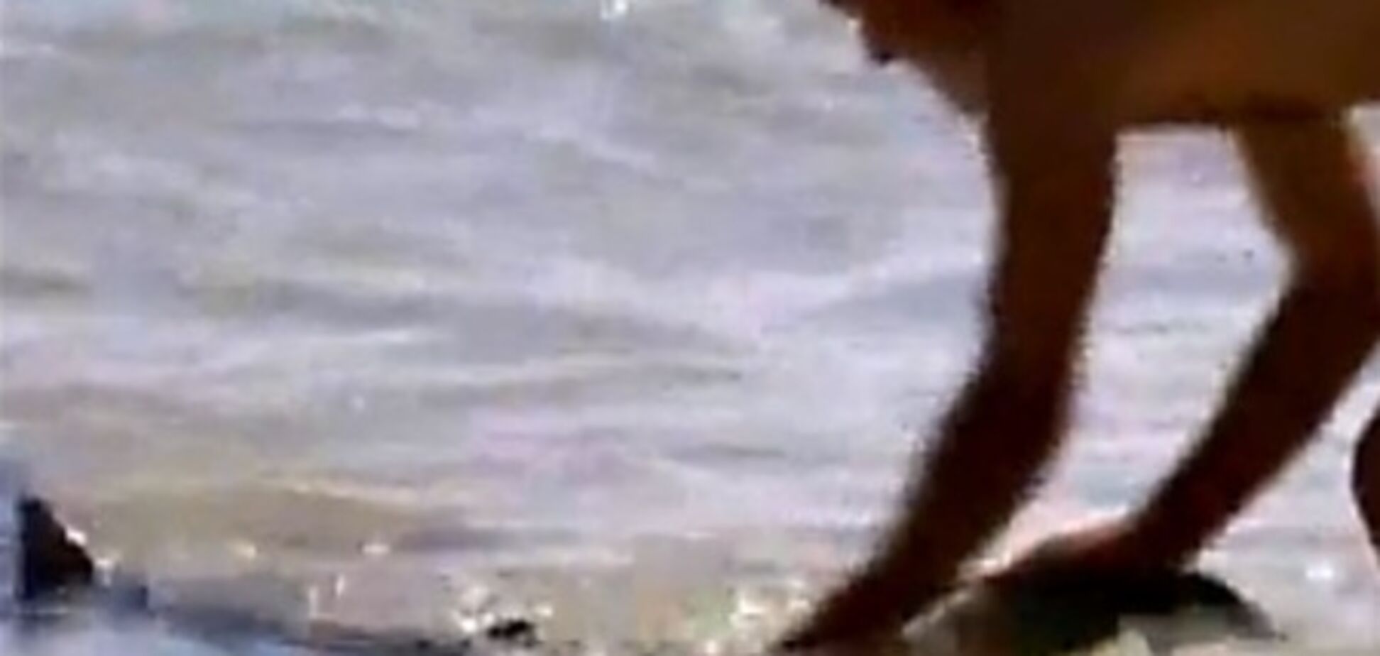 Турист утащил акулу с пляжа за хвост