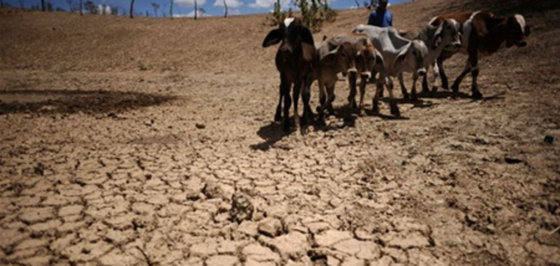 Засуха в Бразилии привела к многочисленным проблемам