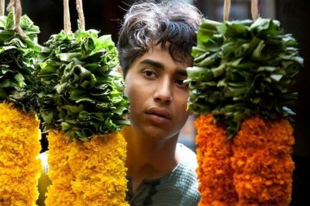 'Жизнь Пи' заработала полмиллиарда