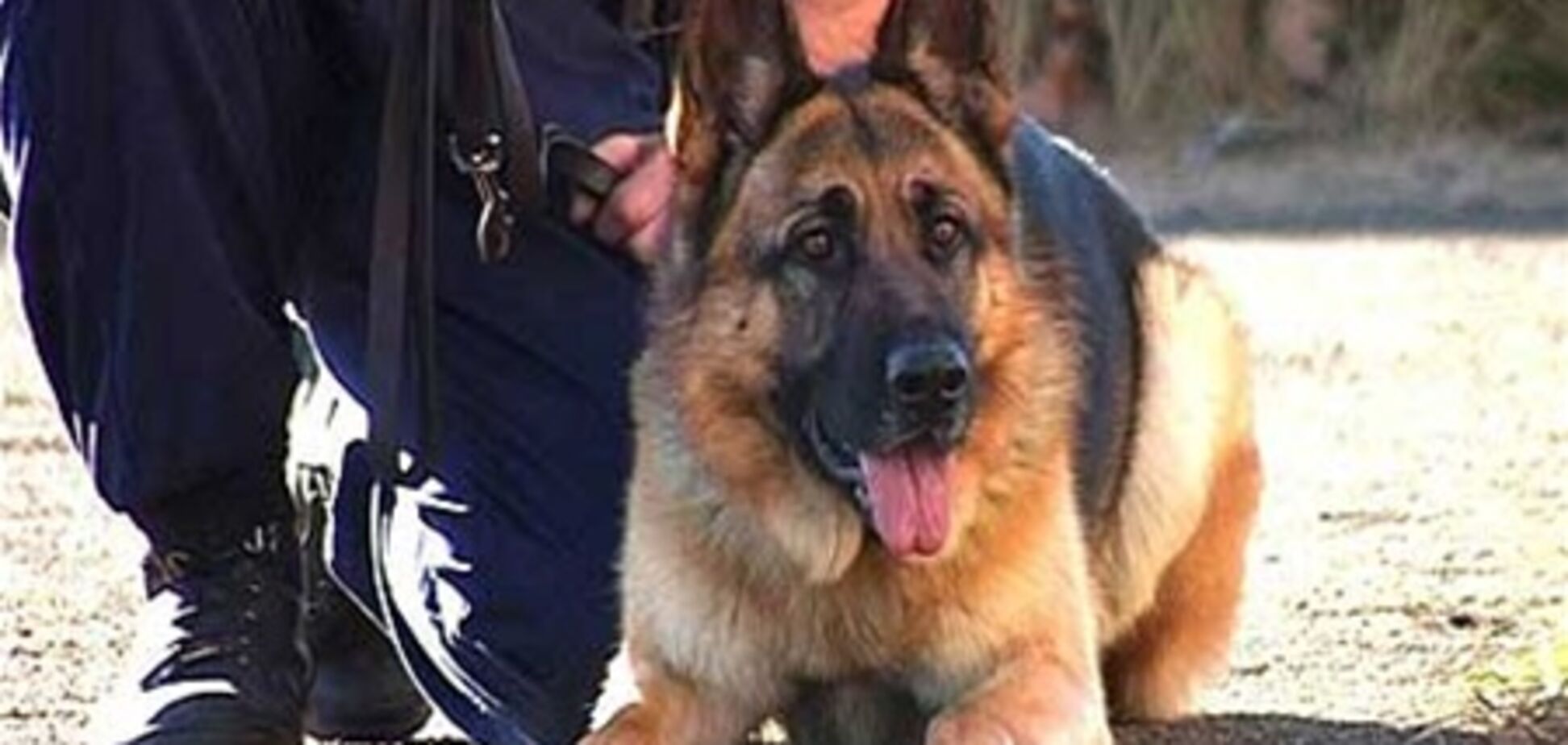 В Донецке предотвратили заказное убийство