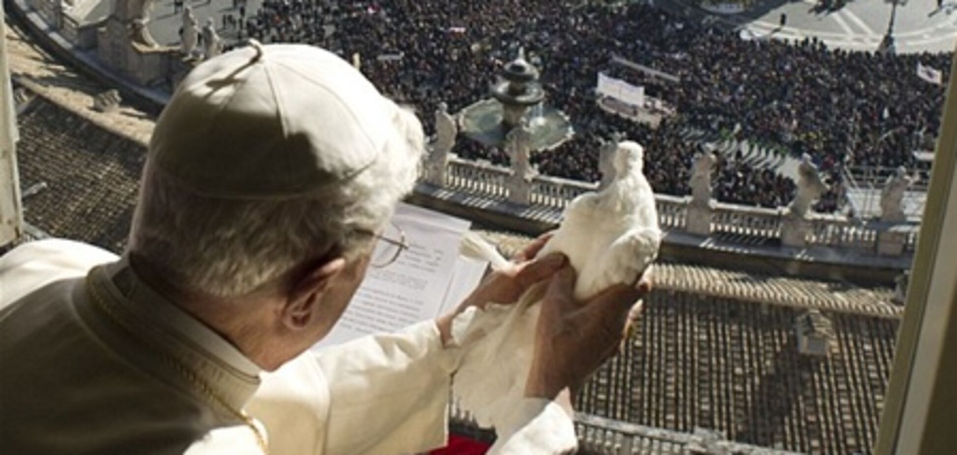 Голубь мира Папы Римского чуть не стал завтраком чайки