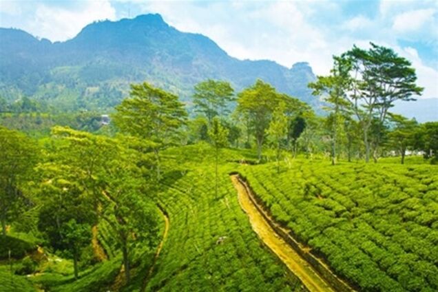 В 2013 году Шри-Ланка планирует принять 1.2 млн туристов