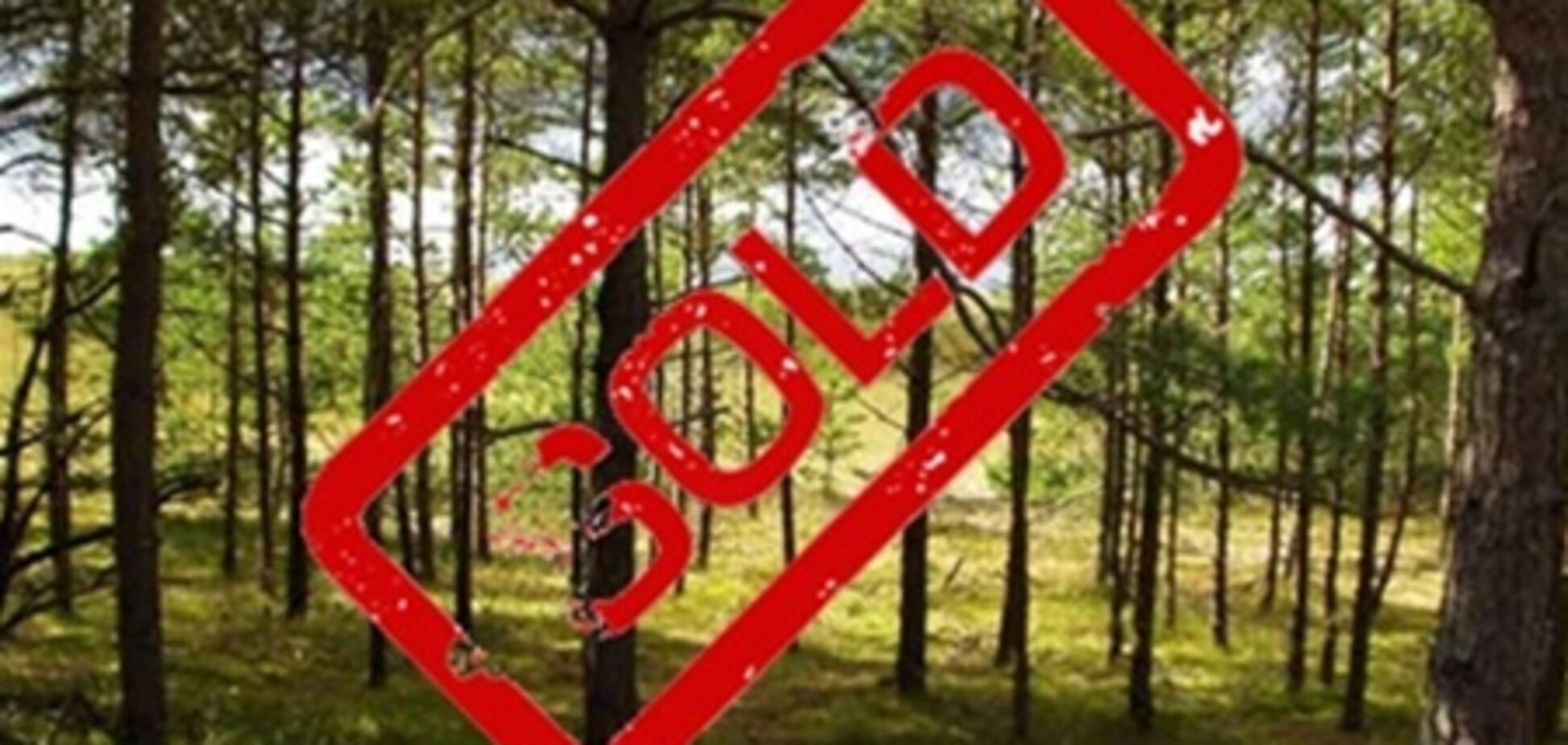 Коцюбинское: присоединить нельзя оставить