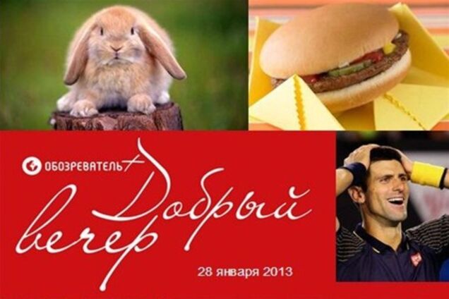 Добрый вечер: какие выставки скоро пройдут в Украине