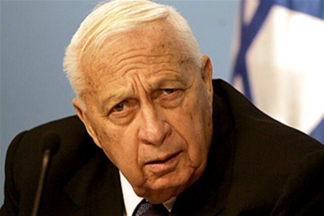 После 7 лет комы Шарон подает признаки 'мозговой активности'