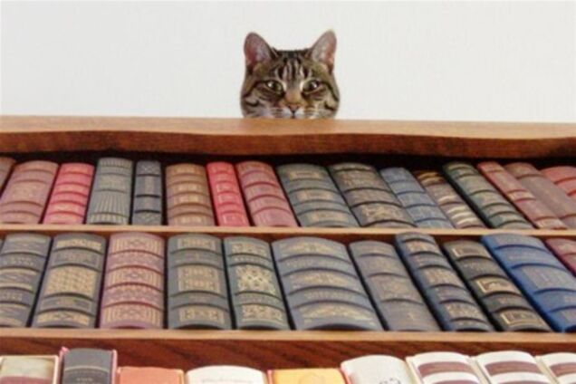 Определены ТОП-10 самых популярных книг в Украине в 2012 году