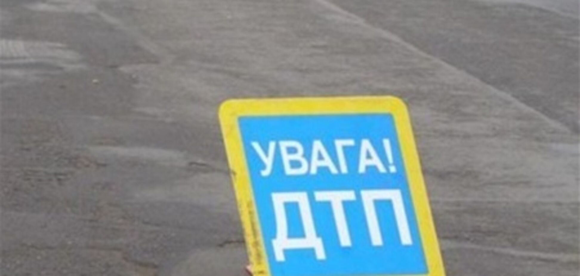 Убивший человека чиновник переложил всю вину на собаку