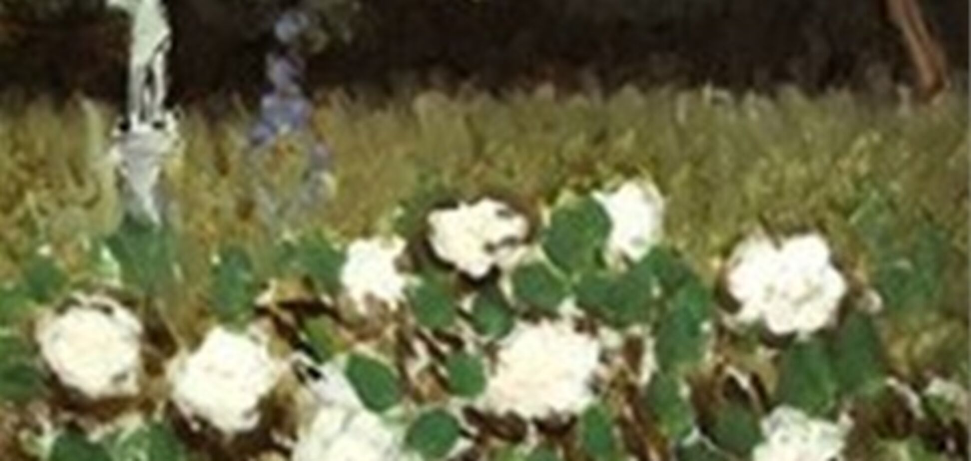 Нашлась похищенная 25 лет назад картина Матисса стоимостью $1 млн