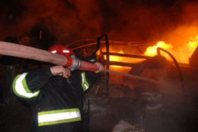 В ветлечебнице Киева случился пожар: погибли пять животных