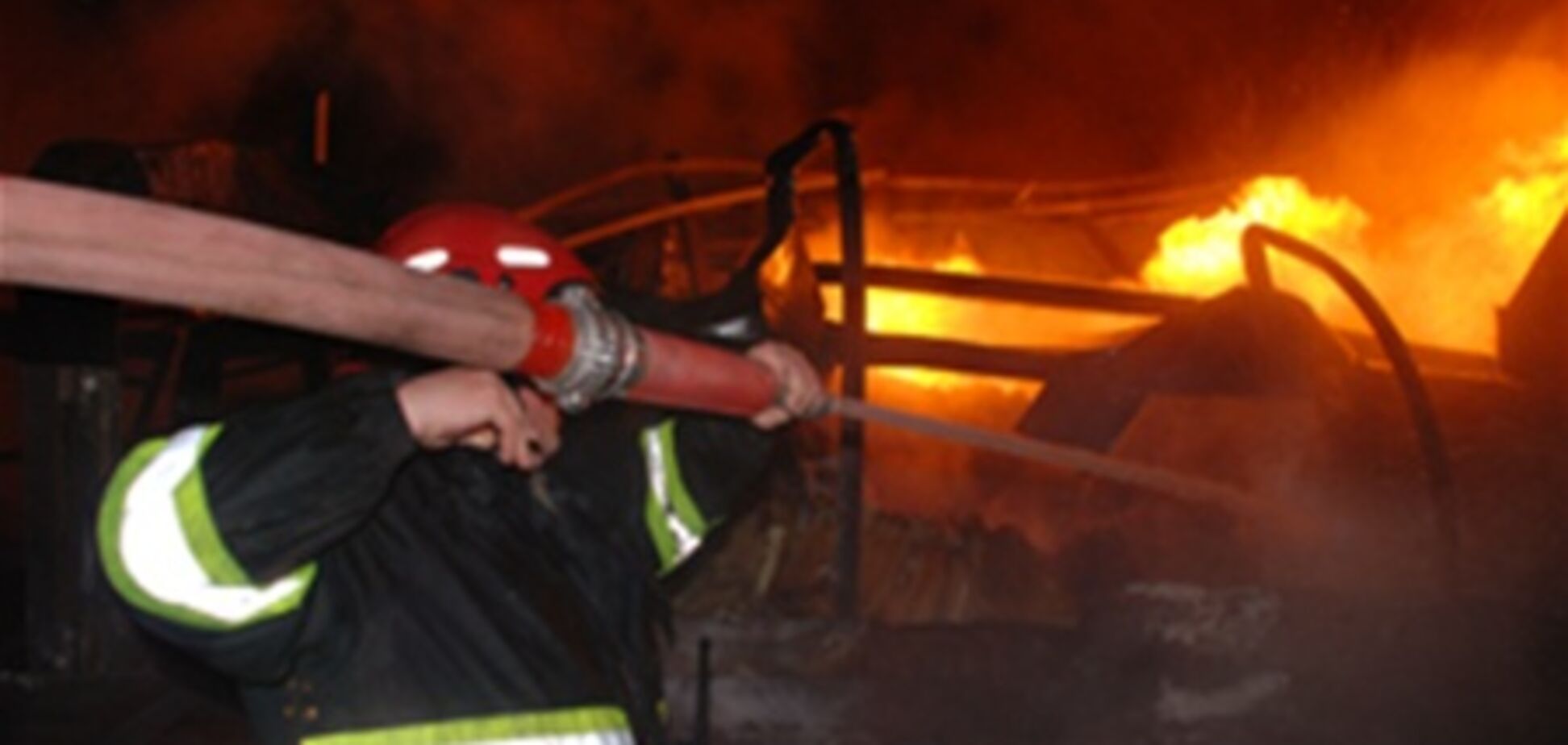 В ветлечебнице Киева случился пожар: погибли пять животных
