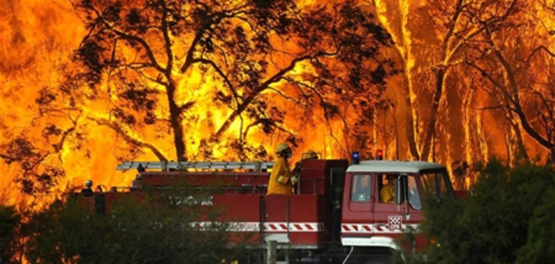 Австралию охватили пожары