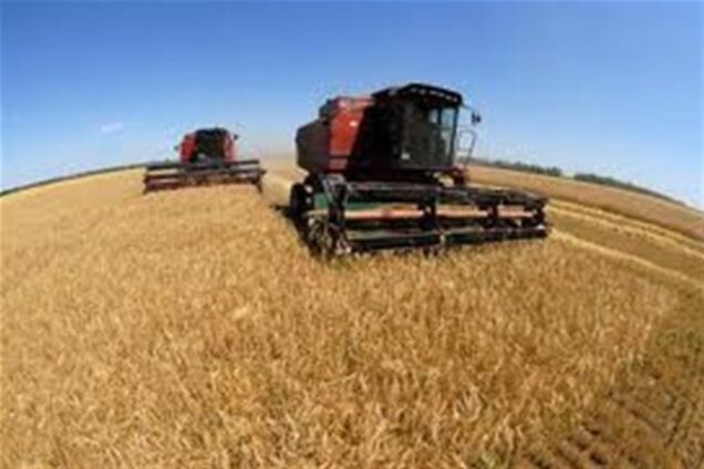 Власти Украины закупили у аграриев будущего зерна на 500 млн гривен