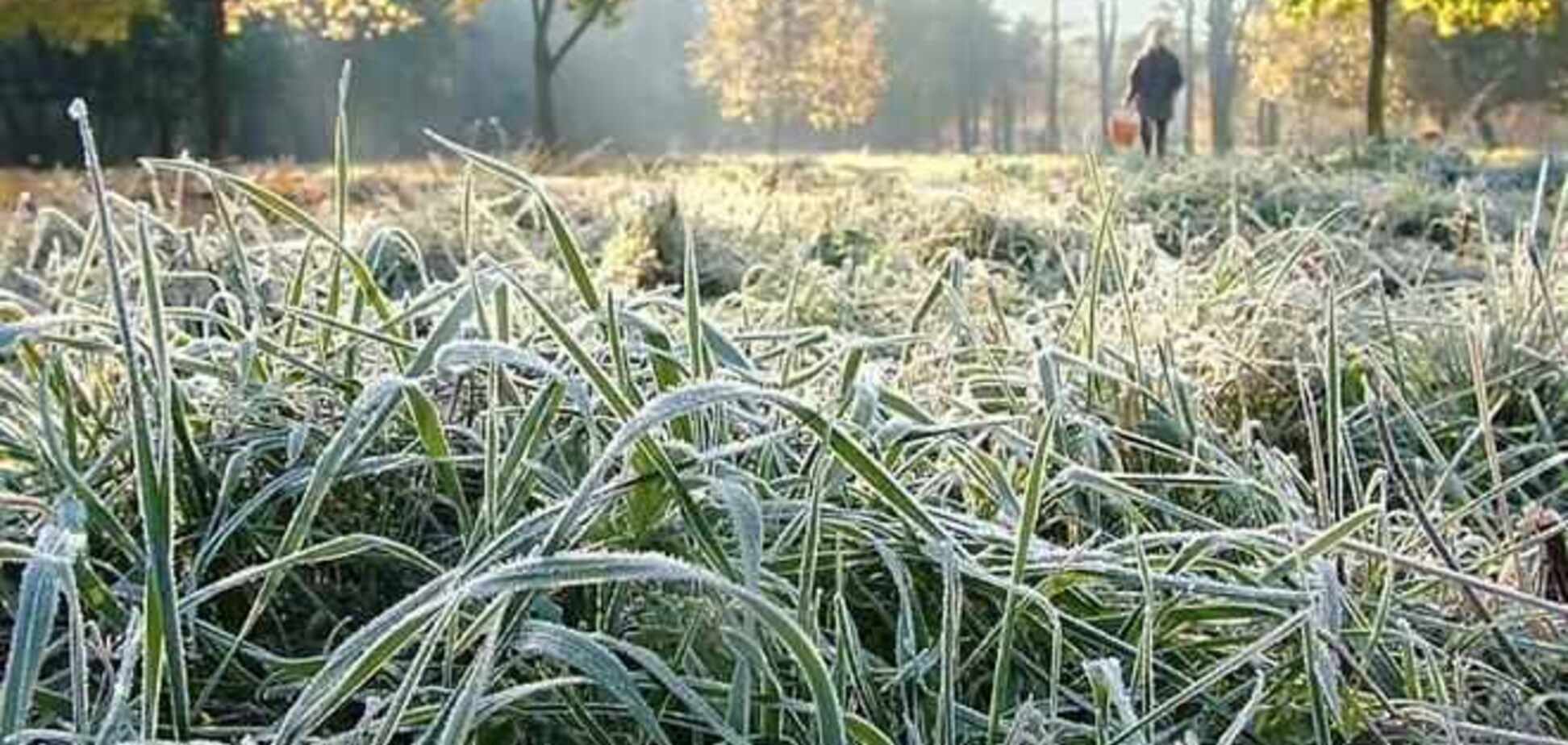 Почти по всей Украине обещают заморозки
