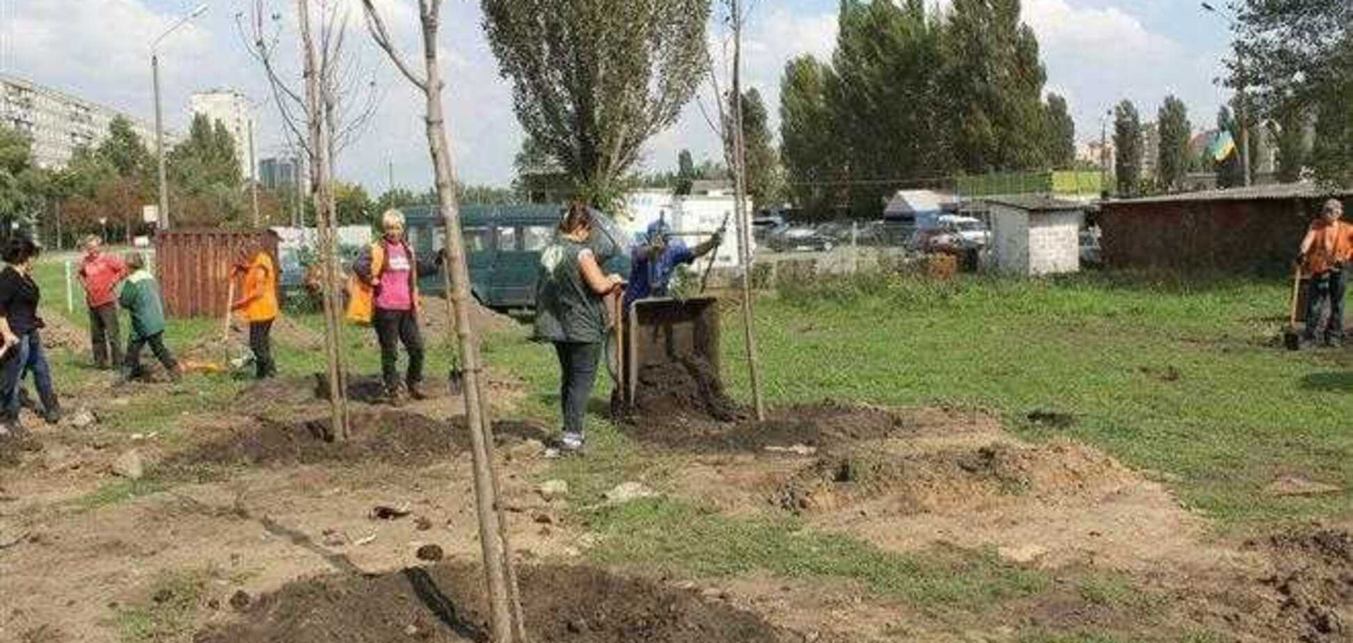 Киев озеленят 3 тысячами деревьев