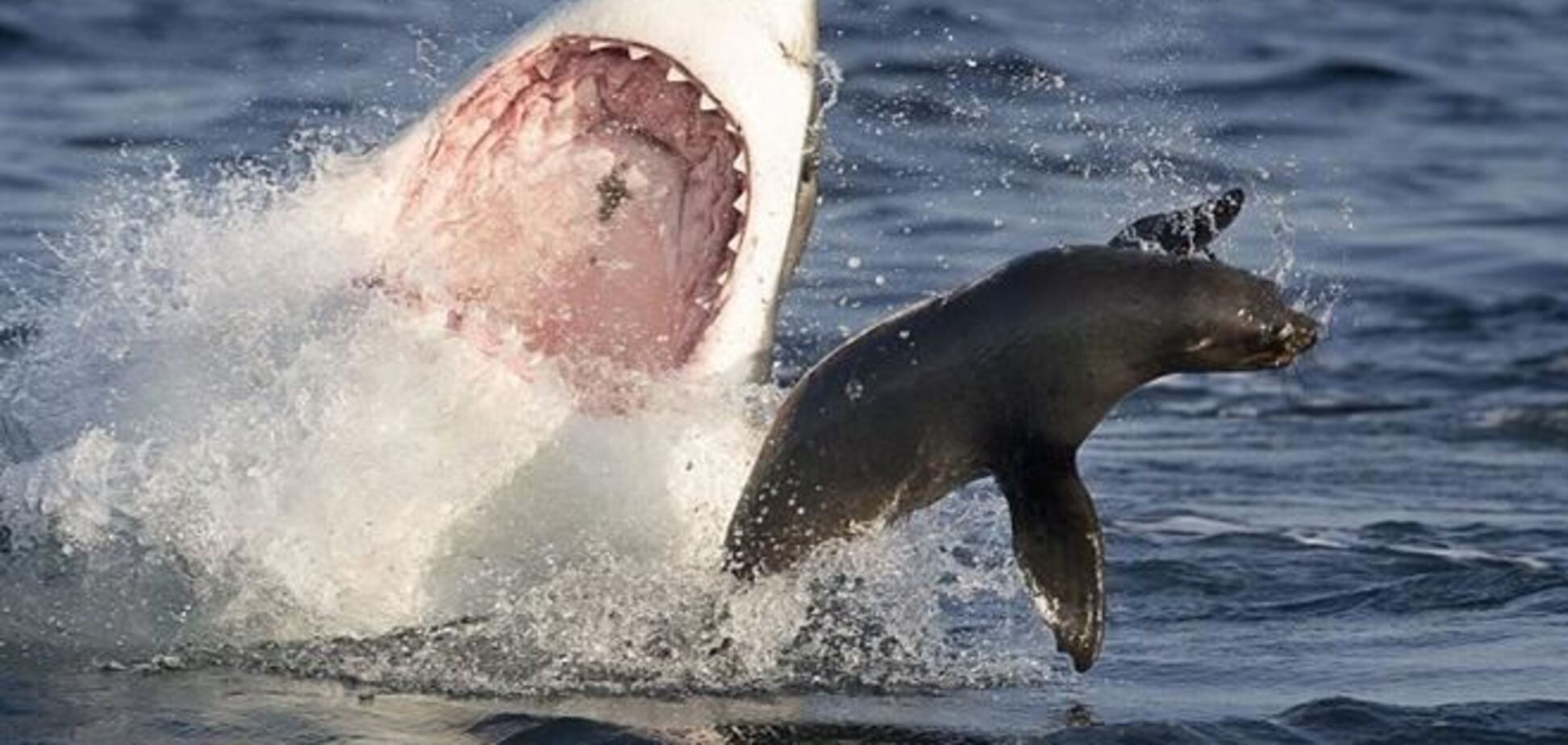 На грани смерти