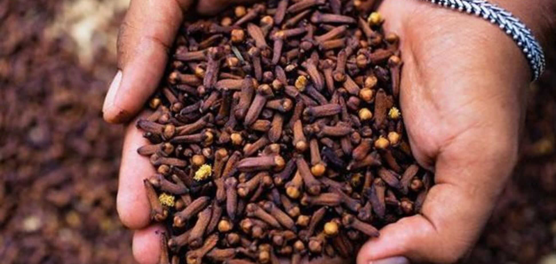 Хотите быстро похудеть? Бросайте в чай гвоздику