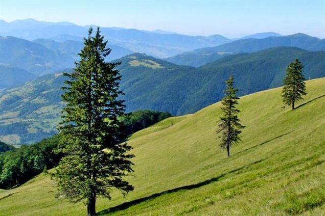 На Закарпатті помер двомісячний дитина: міліція відкрила провадження