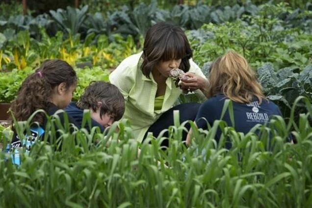Кризис погубил огород Мишель Обамы
