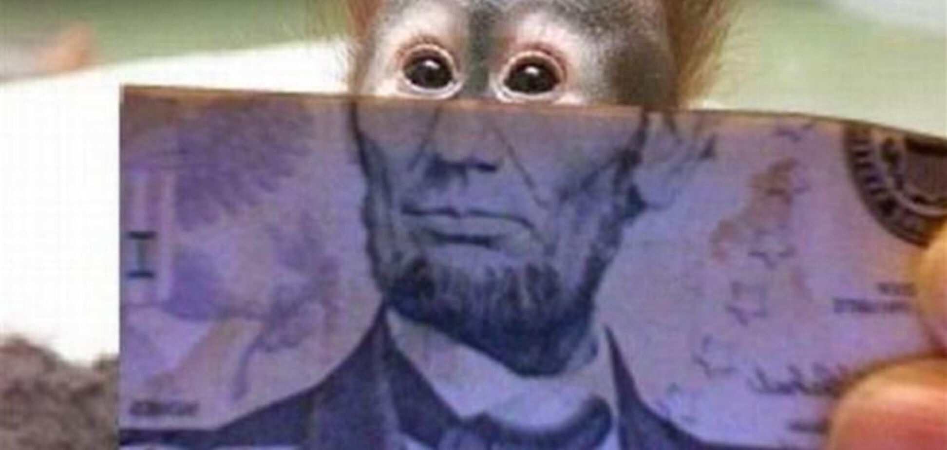 20 остроумных фраз о деньгах