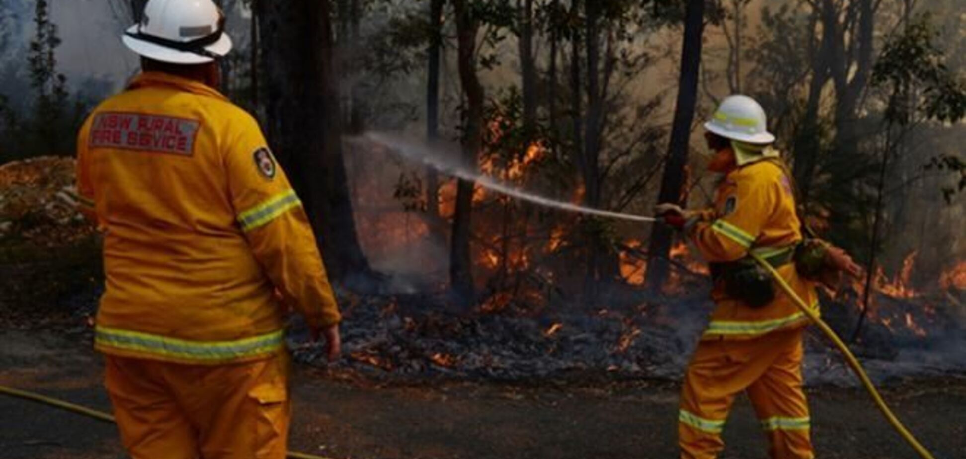 В Австралии бушуют лесные пожары: уничтожено 100 домов