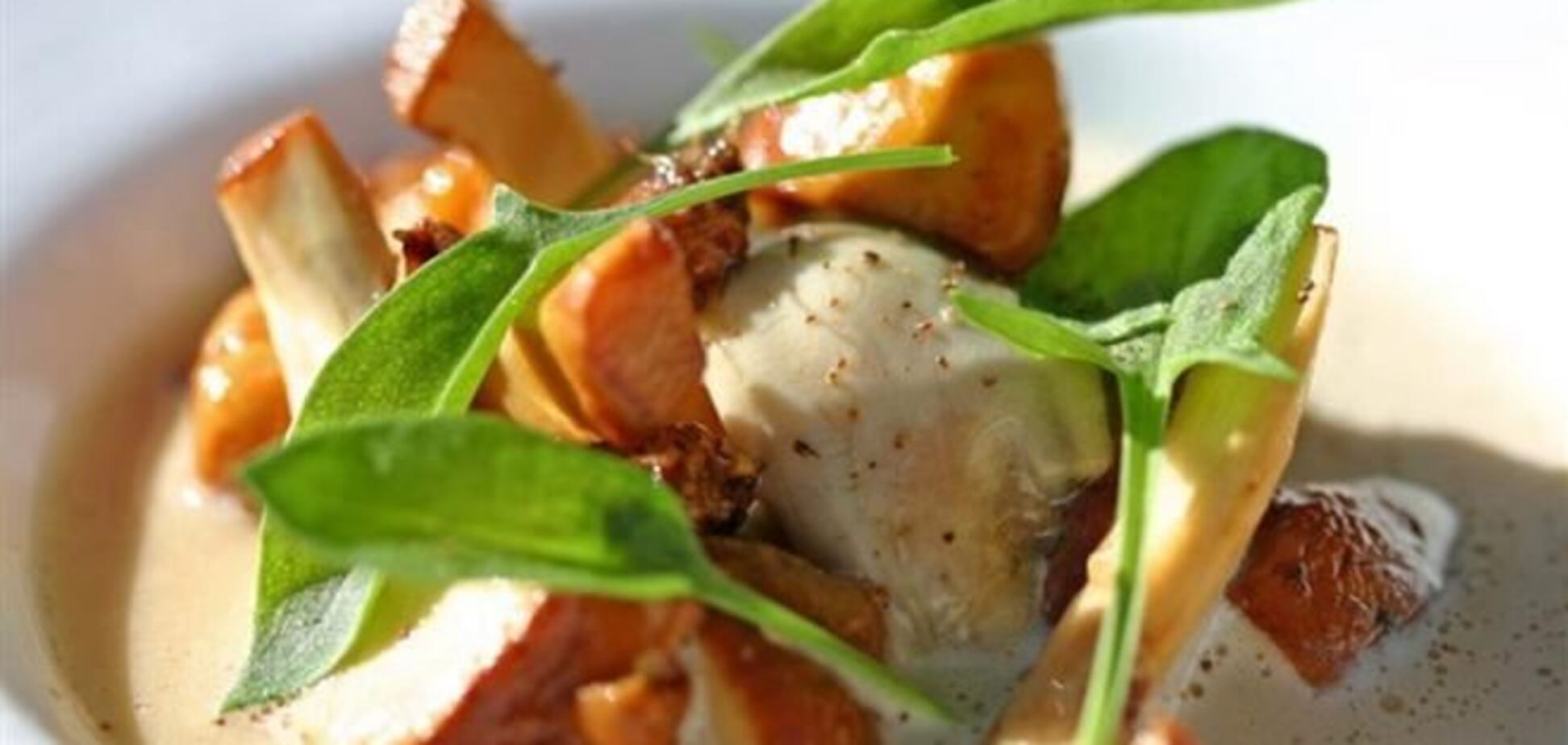 5 лучших рецептов горячих блюд с грибами