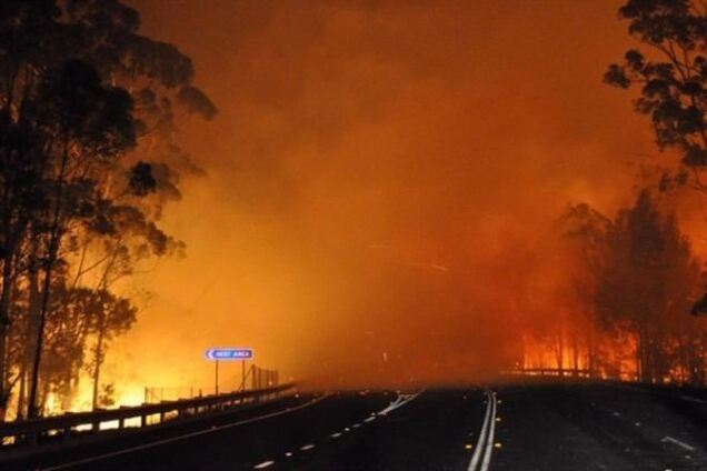 В Австралії через лісові пожежі ввели режим НС
