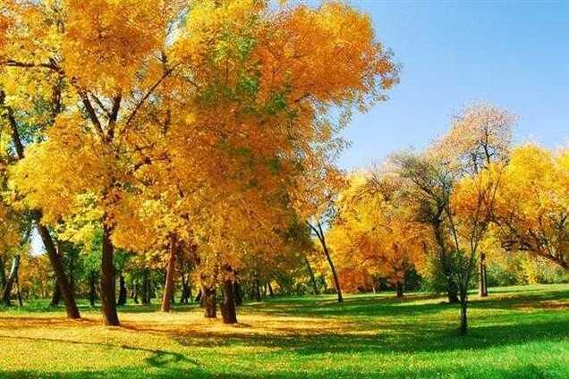 В Украине потеплеет до +19